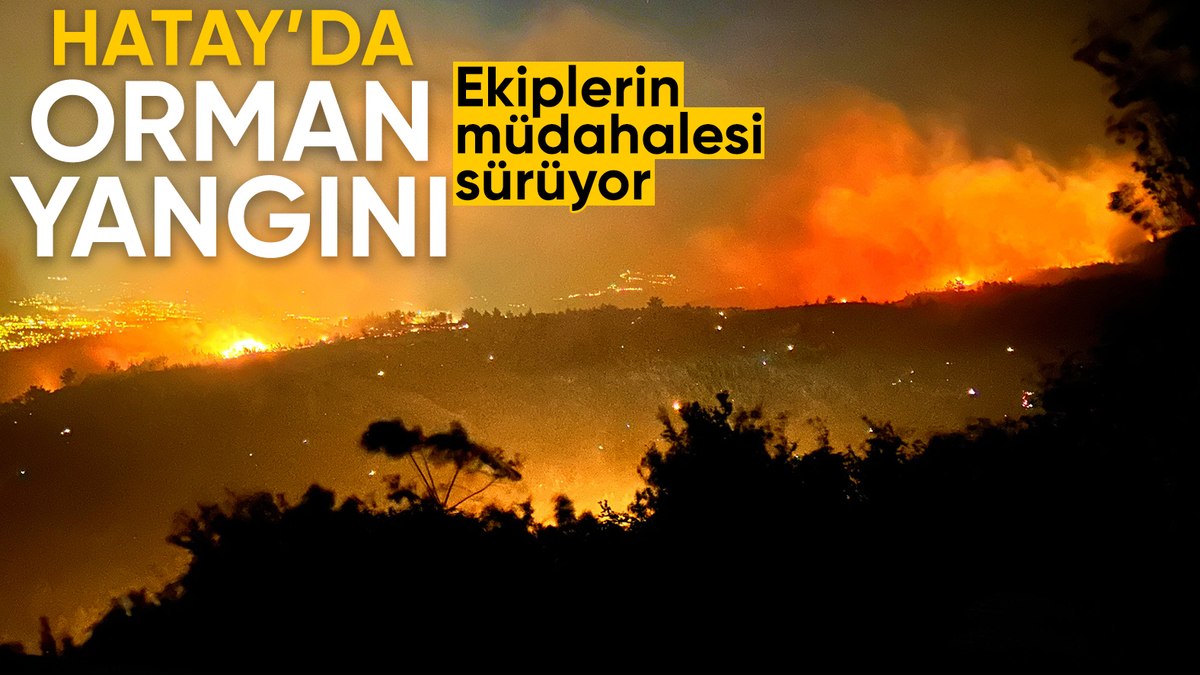 Hatay’da çıkan orman yangınına müdahale sürüyor