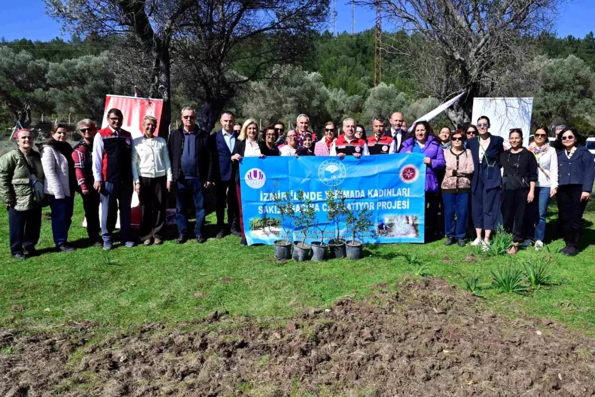 Kadın Çiftçiler Sakız Ağacı Yetiştiriciliği ile Ekonomiye Katkı Sağlıyor